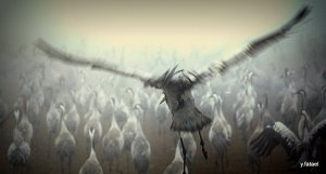IMG_0636-001